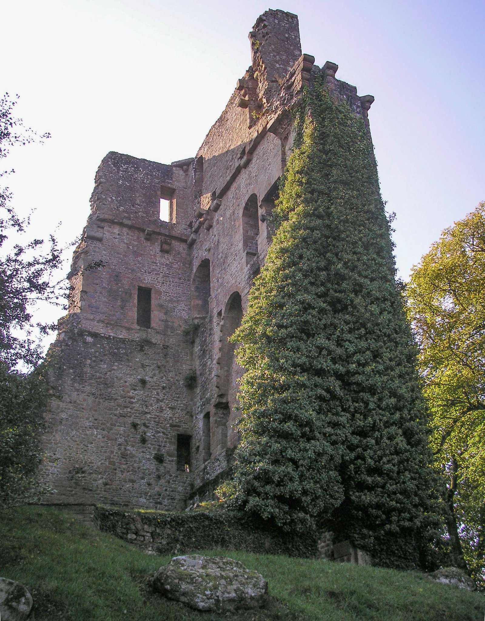 Vestiges du donjon de Vire vus du côté nord